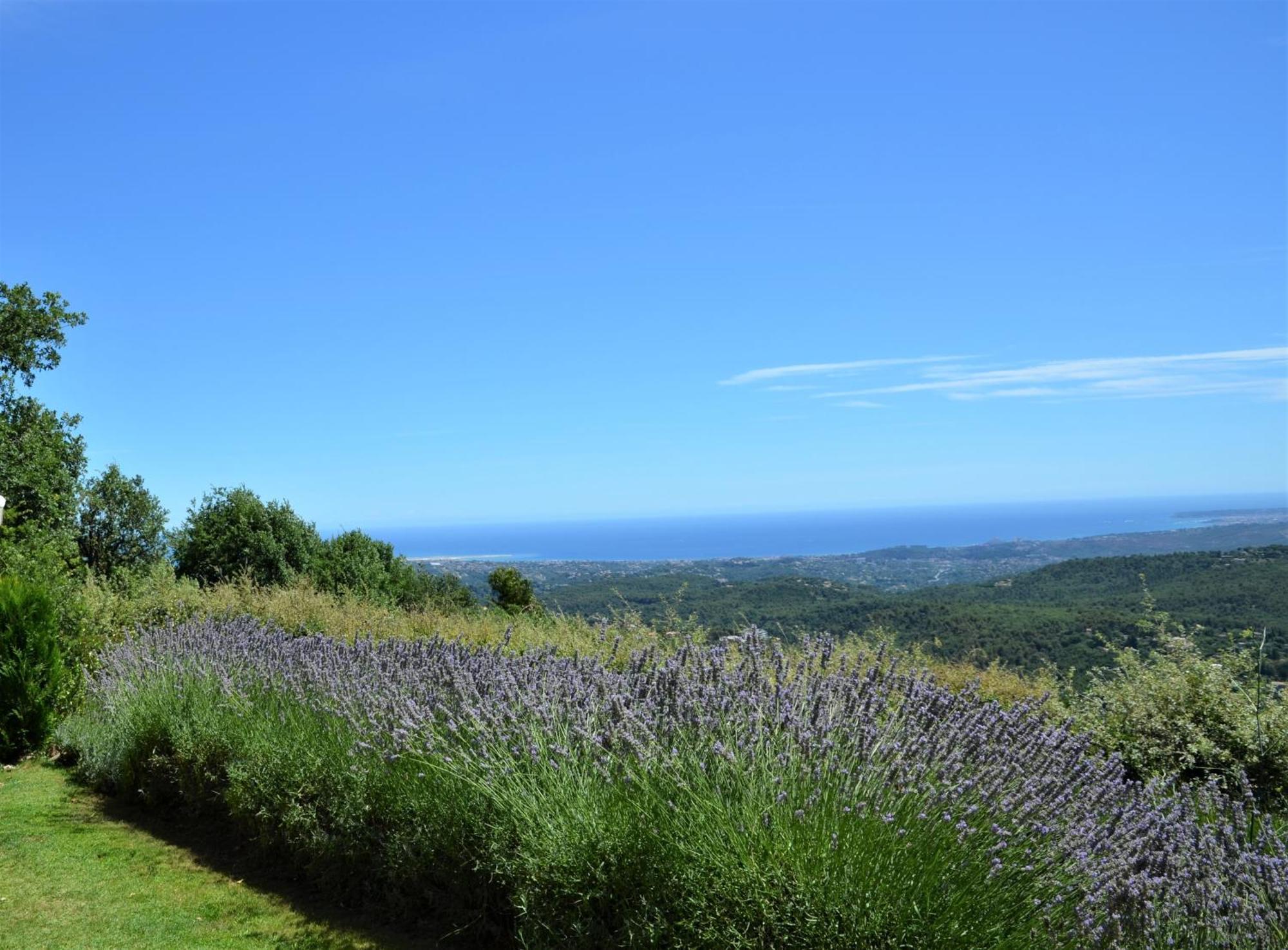 Bed and Breakfast La Bastide des Pins Vence Exterior foto